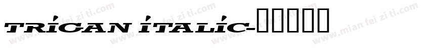 trigan Italic字体转换